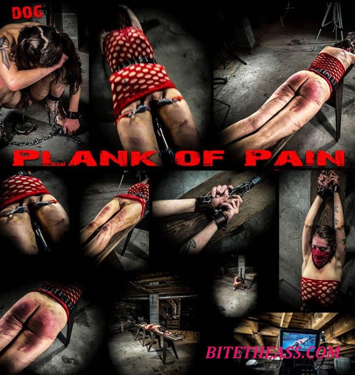 Dog - Plank Of Pain [FullHD 1080p]
