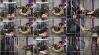 Mistress Gaia: Locked Up To Lick My Feet [FullHD 1080P] 