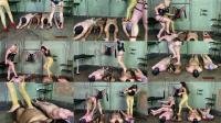 Sadistic Queens - Squishysax - Mistress Tess and Maya Sin - Catwalk On A Carpet Of Slaves [FullHD 1080P] 