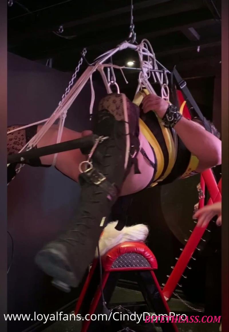 Mistress Cindy - Well filled Suspension [FullHD 950P] 