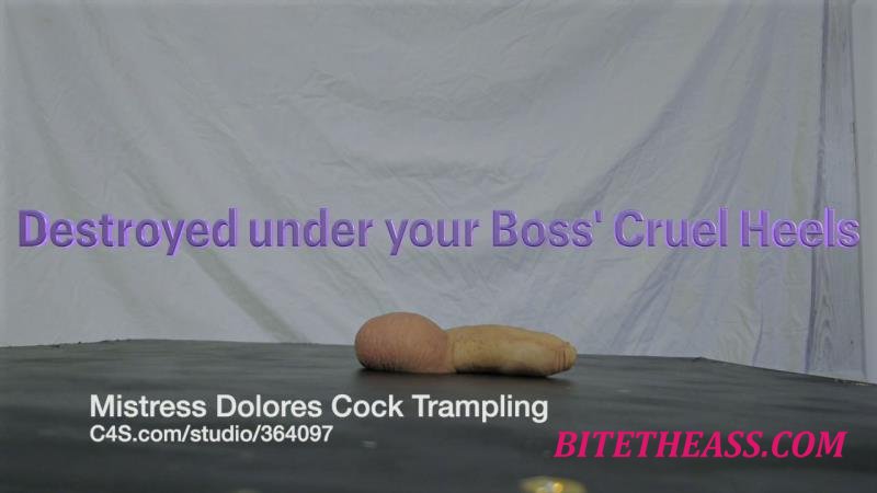 Mistress Dolores Slave - Angry Boss's CBT Shoejob under Work Heels VALUE PACK 4 versions [HD 720P]