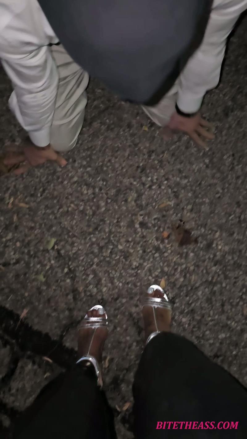 Ballbusting Bianca - Dominabianca - Sales Simp Cash Meet [FullHD 1080P]