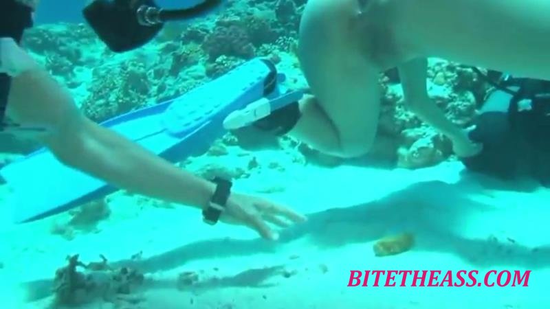 Shitting in the Sea [SD 768P]