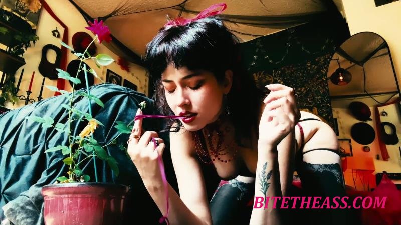  EnchantrixV - Rose Spell [FullHD 1080]
