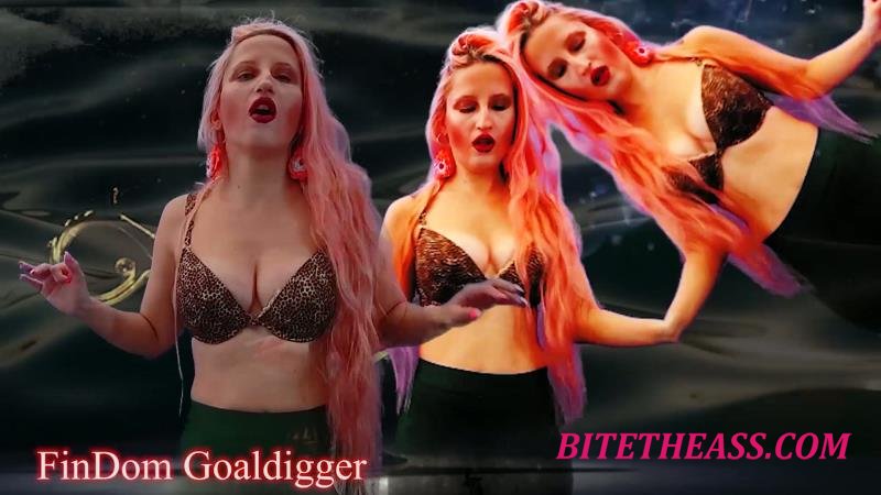  FinDom Goaldigger - Your arousal enlarging [FullHD 1080]
