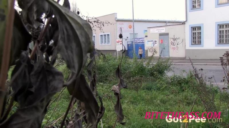  Public Streams [FullHD 1080]
