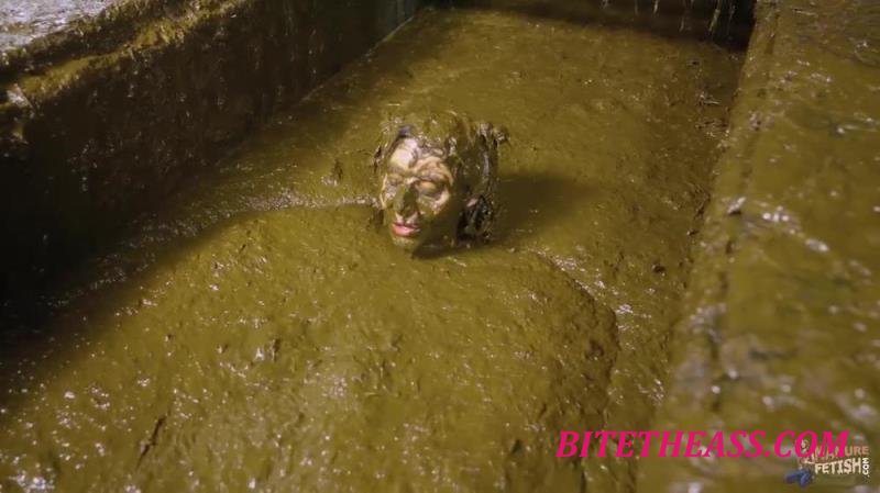  Aliens In Cow Shit [HD 720]
