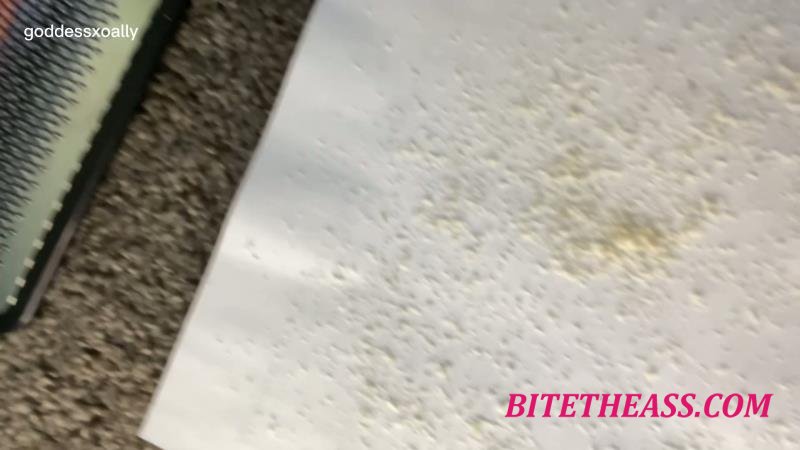  Goddess Ally Etana - Collect My Foot Dust In Your Mouth [FullHD 1080]
