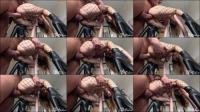 Realy Homemade -  Realy Homemade - OMG!!! Please Don't RIP My Horny Tight Ass [FullHD 1080]
