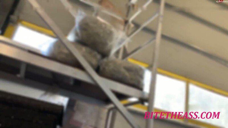 SteffiBlond - Baumarkt sauerei - Was passt besser rein Pinsel oder Zollstock Erstm... [FullHD 1080P]