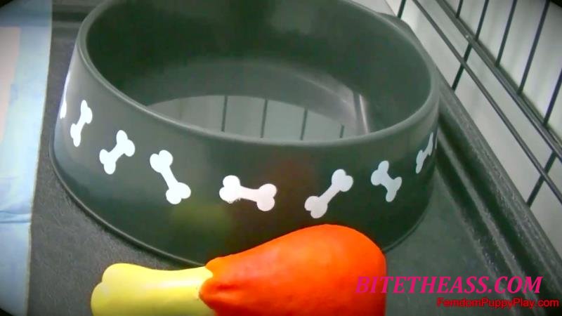  Femdom Puppy Play - Lexi Luna Prepares The For Her Big Date [FullHD 1080]
