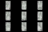 DouceLuxure -  DouceLuxure - Ich zeige dir meine bruste [SD 480]
