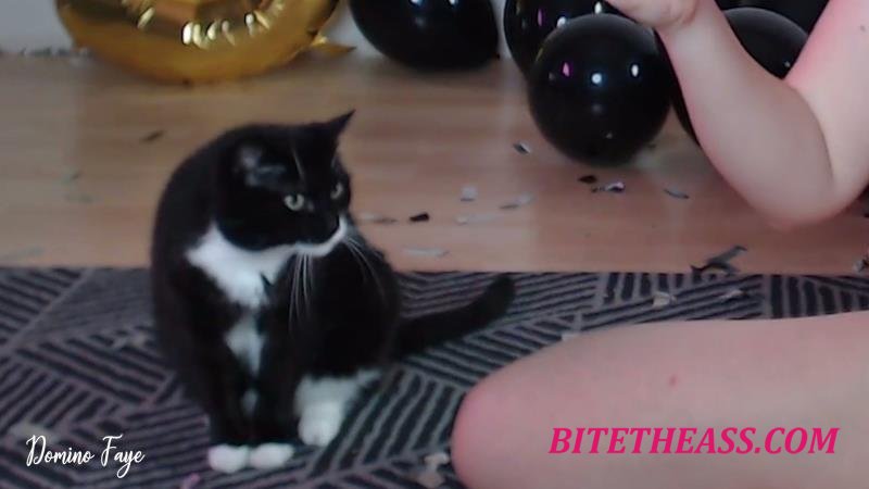  Domino Faye - 5 fucking years [FullHD 1080]
