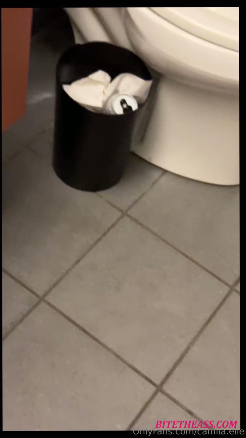 Camila Elle, camila_elle -  Camila Elle (camila_elle) - Bathroom Fuck PPV [FullHD 1080]
