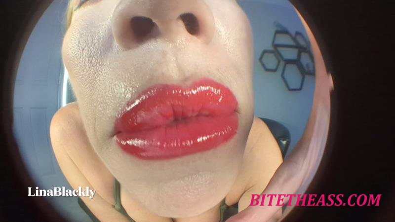  LinaBlackly - Mommy's Fisheye POV Dirty Mouth and Lips [FullHD 1080]
