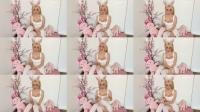  lewdestbunnie - hi I'm lewdestbunnie [FullHD 1080]
