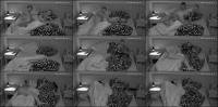  Reallifecam - Martin And Charllote Have Hot Sex From Behinde 28.05.2026 [SD 604]
