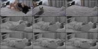  Reallifecam - Elli And Her Boyfriend Have Hot Sex In Bedroom Dark 18.05.20206 [SD 608]
