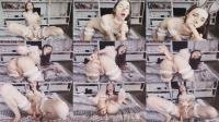  Nbnabunny - Barely Trans Seduces Neighbor For Creampie [FullHD 1080]
