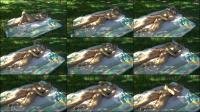Gloria-die-Ficklady -  Gloria-die-Ficklady - Gloria pur - Splitternackt im Sonnenschein [HD 720]
