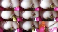  Valleo � Long Difficult Pooping [HD 720]
