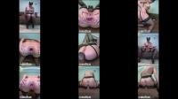  CrazyWifeSlut / Hot wife wrecks her asshole (May 2026) [FullHD 1080]
