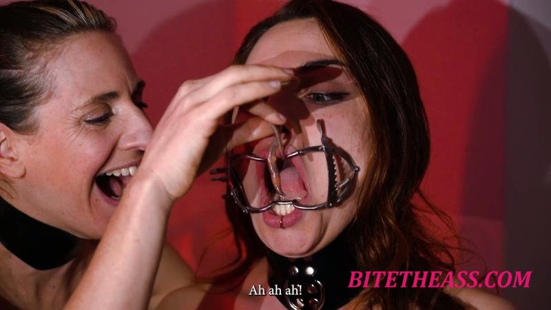  Mistress Revenge - Wrong Holes Only [FullHD 1080]
